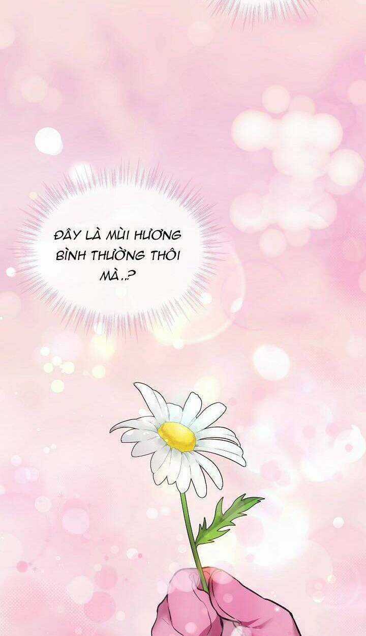 Tôi Đã Tái Sinh Thành Bé Cáo Của Thần Chapter 53 trang 47