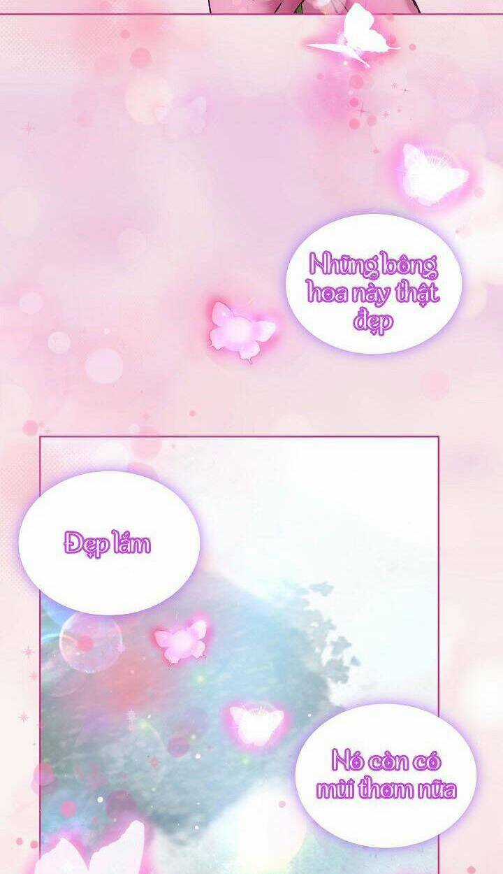 Tôi Đã Tái Sinh Thành Bé Cáo Của Thần Chapter 53 trang 48