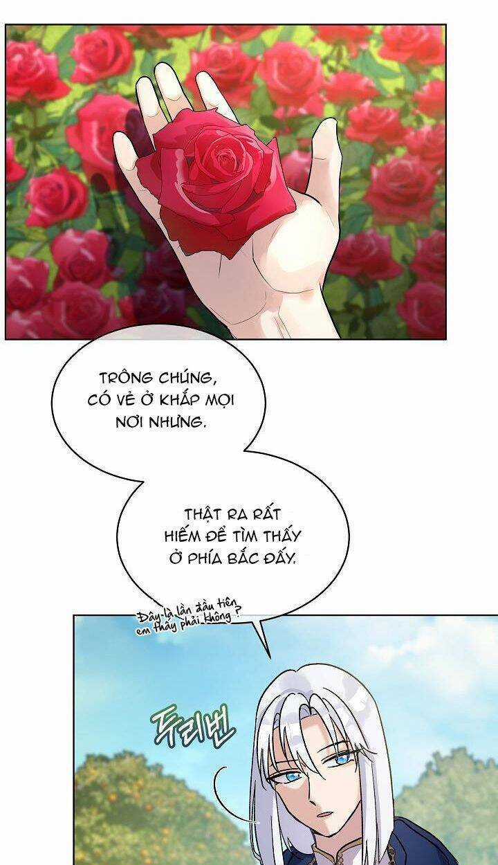 Tôi Đã Tái Sinh Thành Bé Cáo Của Thần Chapter 9 trang 30