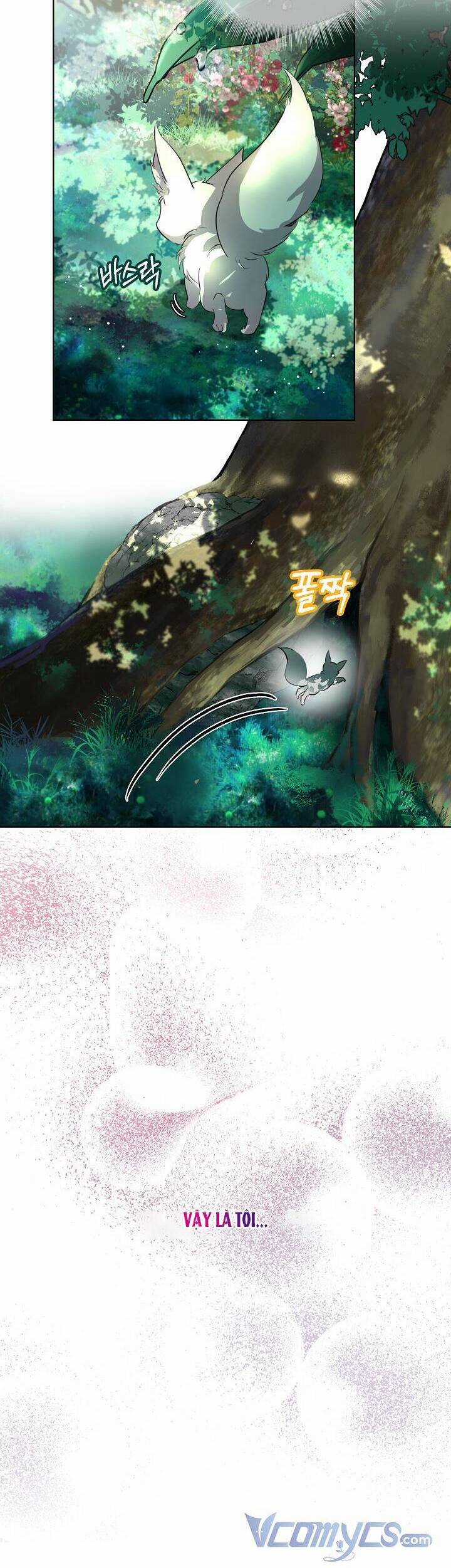 Tôi Đã Tái Sinh Thành Bé Cáo Của Thần Chương 0 trang 3