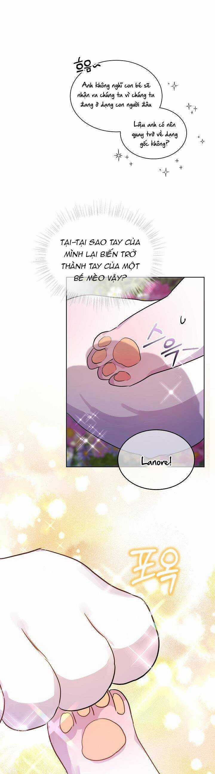 Tôi Đã Tái Sinh Thành Bé Cáo Của Thần Chương 0 trang 33