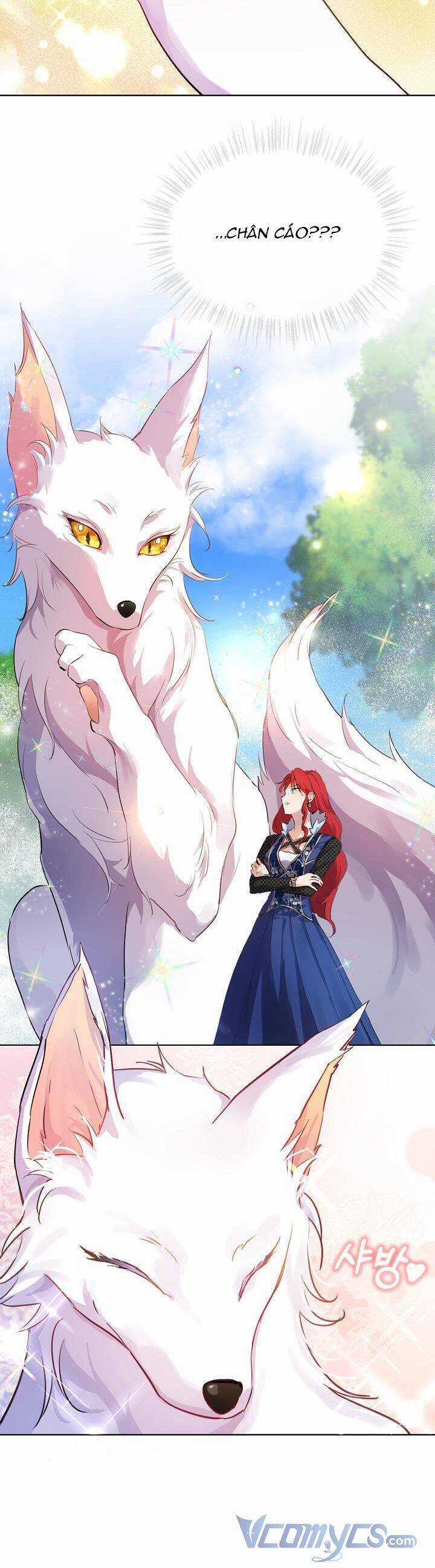 Tôi Đã Tái Sinh Thành Bé Cáo Của Thần Chương 0 trang 34