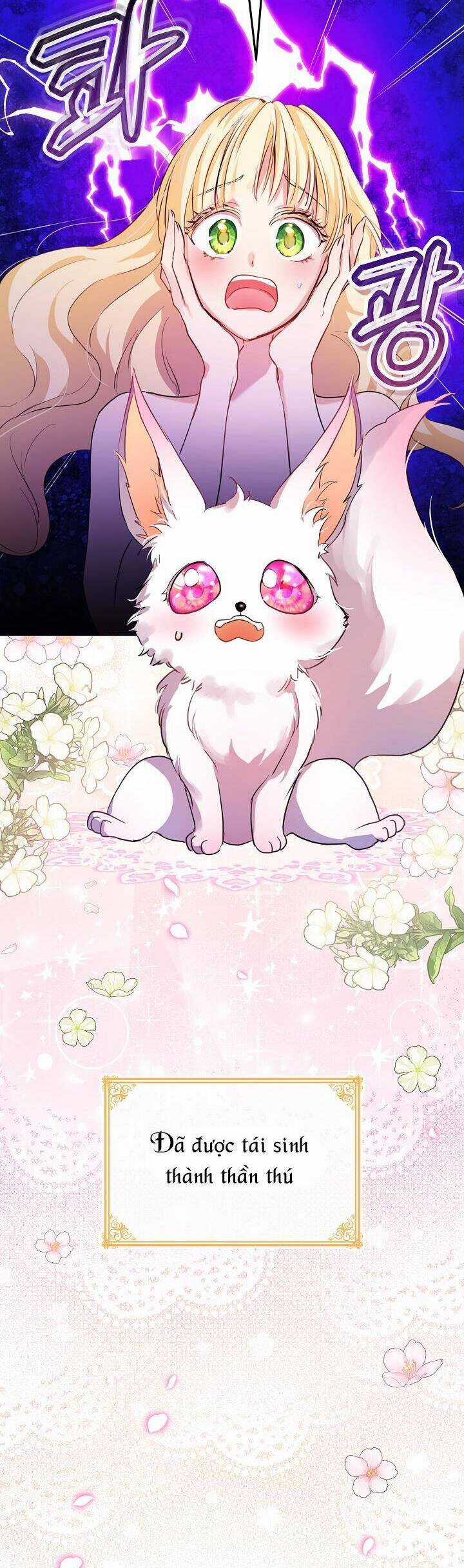 Tôi Đã Tái Sinh Thành Bé Cáo Của Thần Chương 0 trang 37