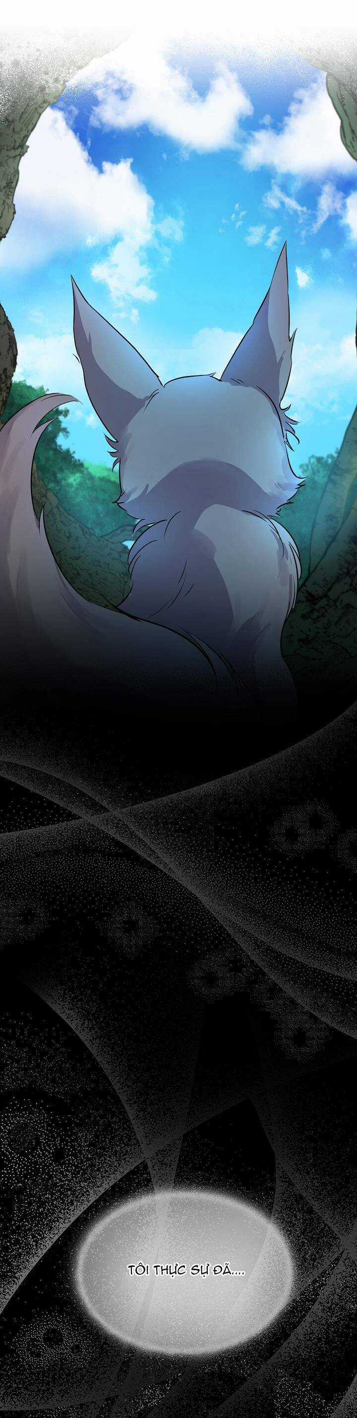 Tôi Đã Tái Sinh Thành Bé Cáo Của Thần Chương 0 trang 4