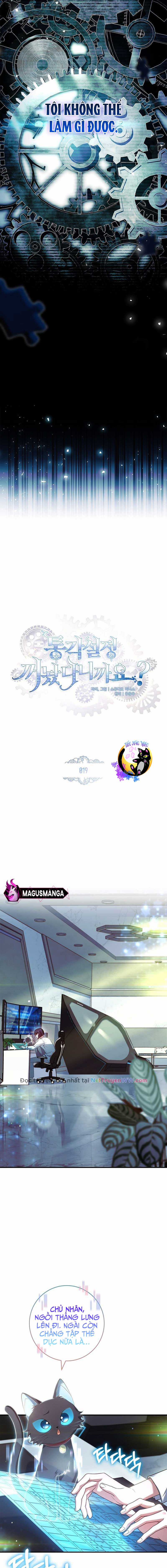 Tôi Đã Tắt Chế Độ Đau Đớn Rồi? Chapter 19 trang 2