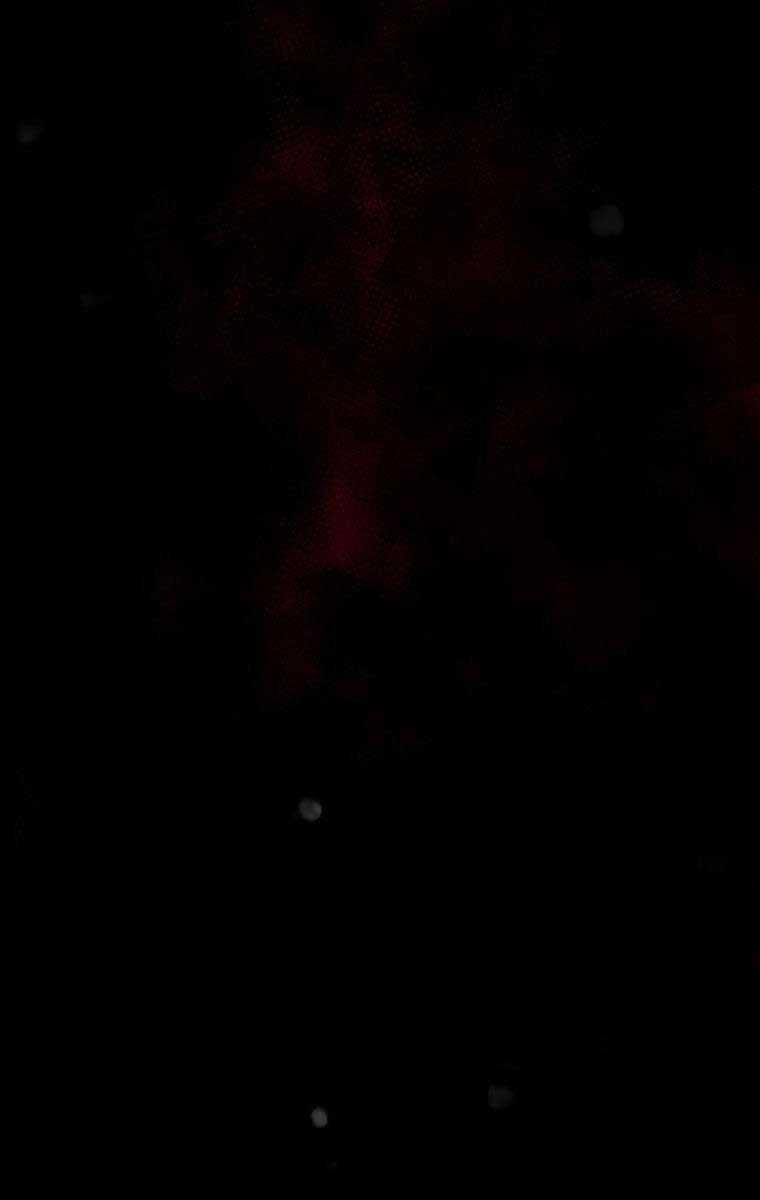 Tôi Đã Trở Thành Quái Vật Không Gian Chapter 16 trang 136