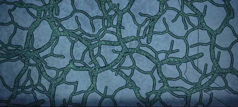 Tôi Đã Trở Thành Quái Vật Không Gian Chapter 21 trang 21