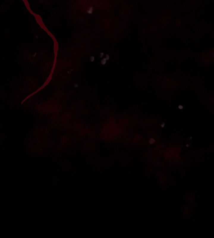 Tôi Đã Trở Thành Quái Vật Không Gian Chapter 32 trang 104