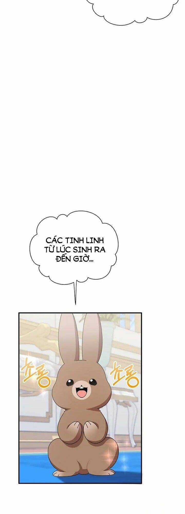 Tôi Đã Vô Tình Quyến Rũ Em Trai Của Nam Chính Chapter 11 trang 35