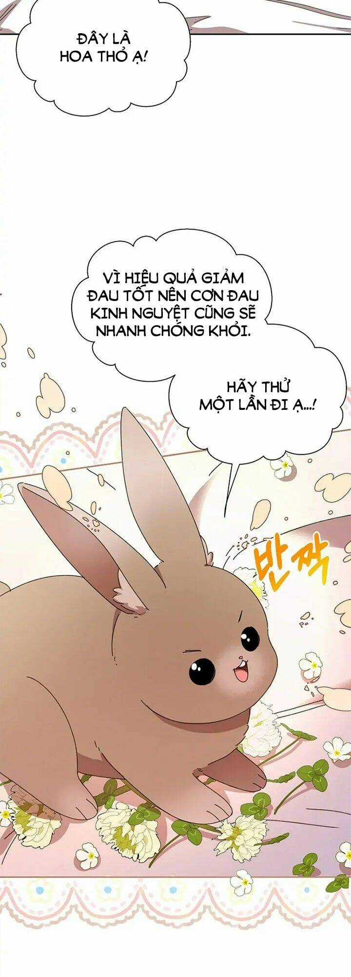 Tôi Đã Vô Tình Quyến Rũ Em Trai Của Nam Chính Chapter 12 trang 57