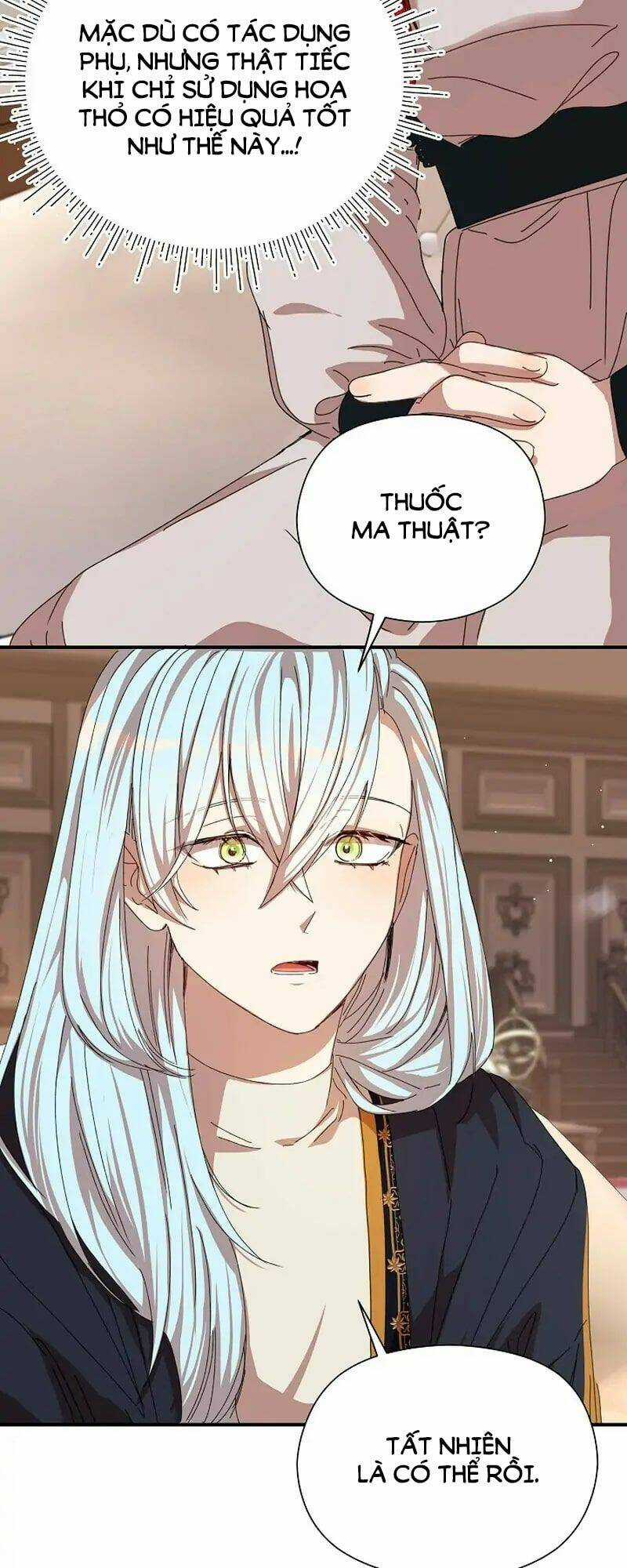 Tôi Đã Vô Tình Quyến Rũ Em Trai Của Nam Chính Chapter 13 trang 18