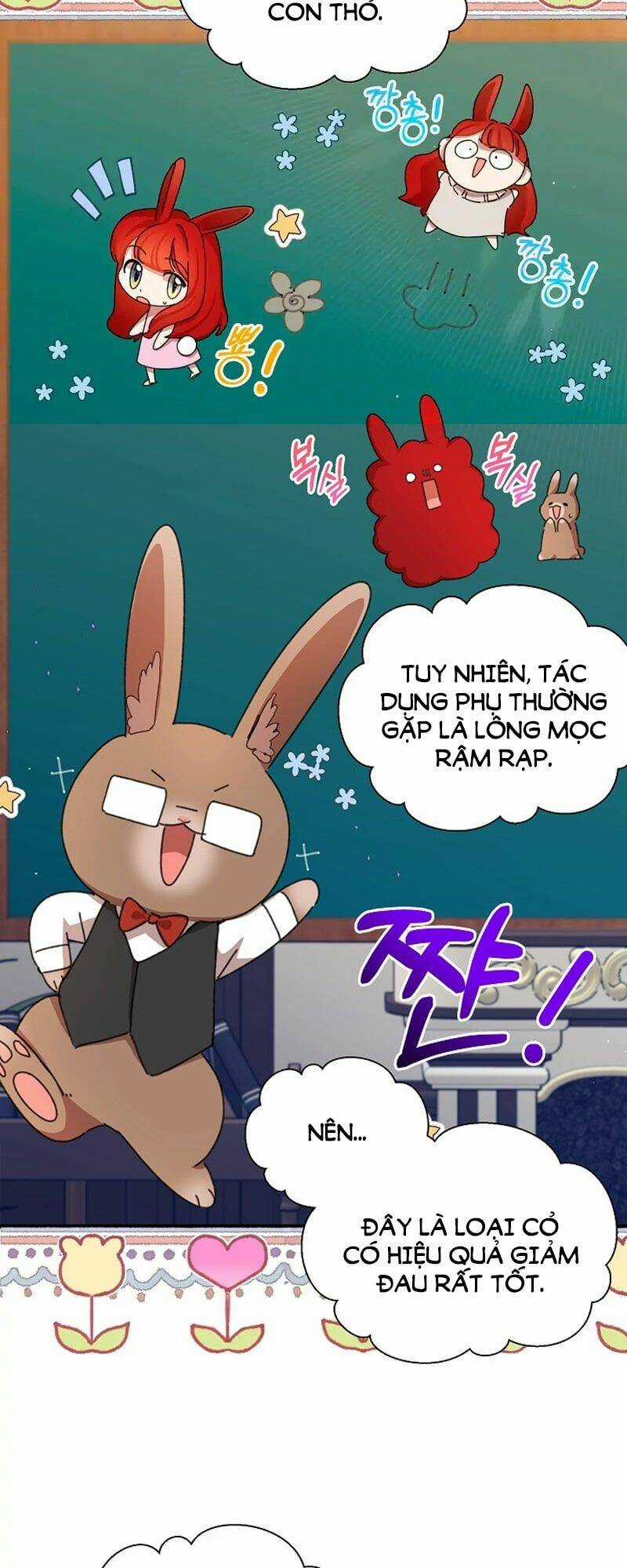 Tôi Đã Vô Tình Quyến Rũ Em Trai Của Nam Chính Chapter 13 trang 5