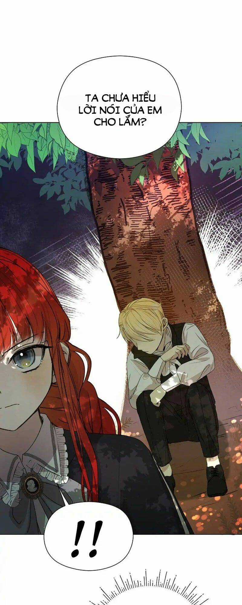 Tôi Đã Vô Tình Quyến Rũ Em Trai Của Nam Chính Chapter 3 trang 23