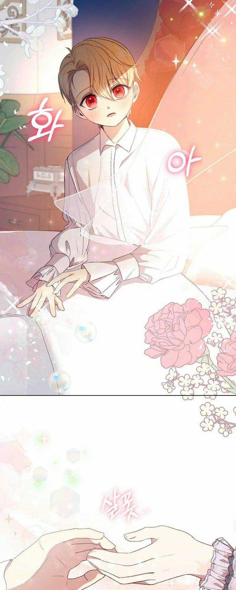 Tôi Đã Vô Tình Quyến Rũ Em Trai Của Nam Chính Chapter 4 trang 16