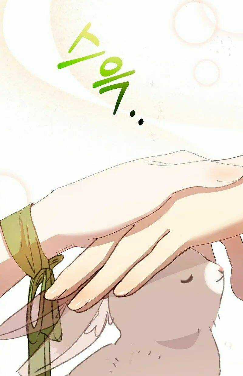 Tôi Đã Vô Tình Quyến Rũ Em Trai Của Nam Chính Chapter 5 trang 43