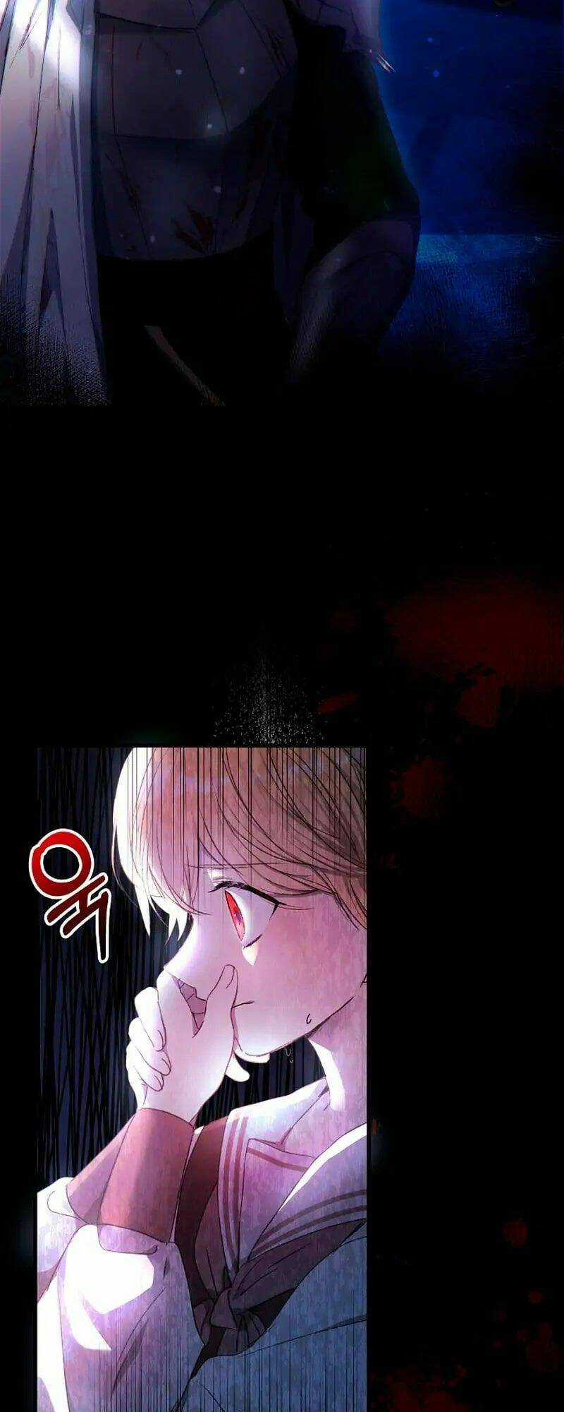 Tôi Đã Vô Tình Quyến Rũ Em Trai Của Nam Chính Chapter 6 trang 16