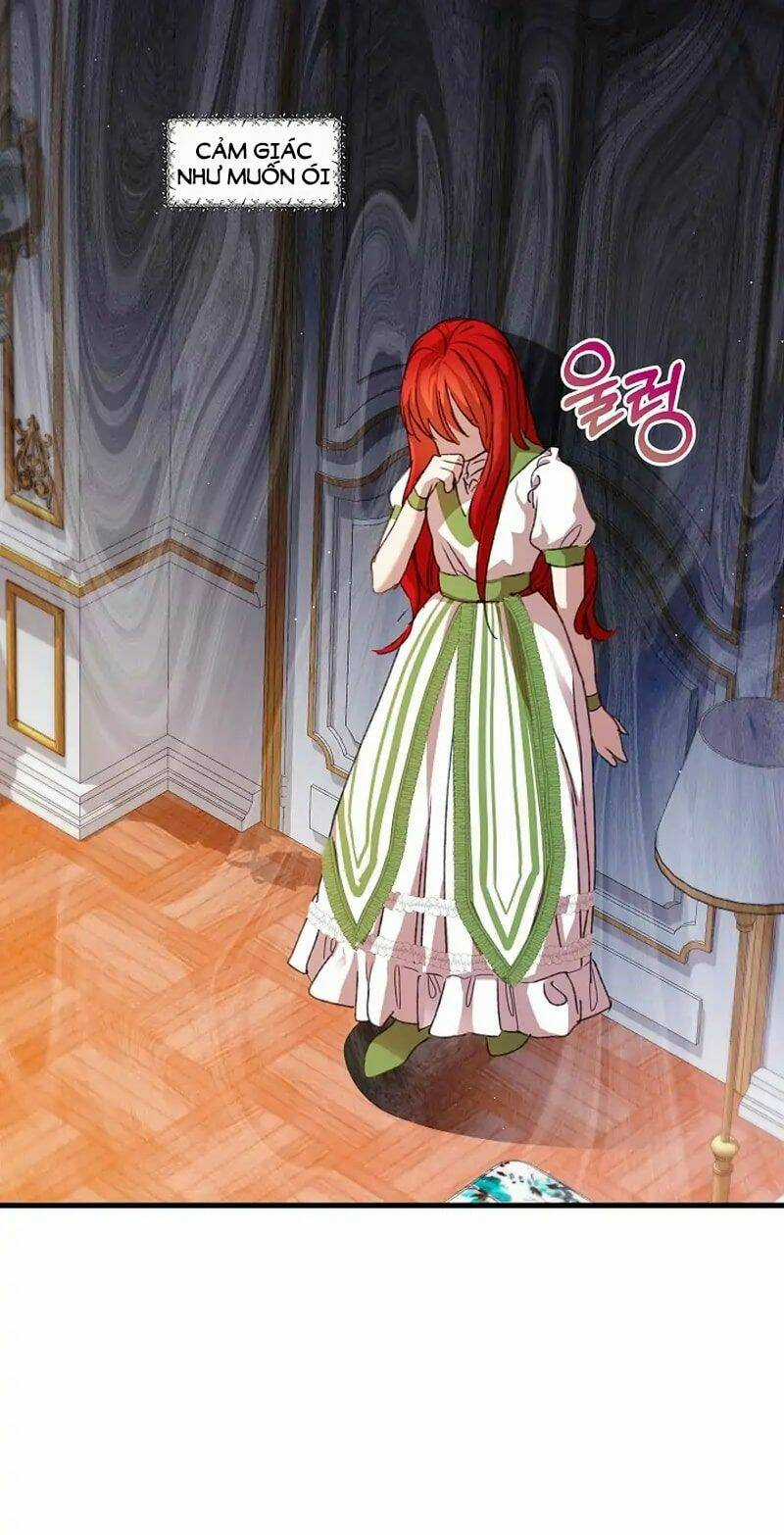 Tôi Đã Vô Tình Quyến Rũ Em Trai Của Nam Chính Chapter 7 trang 15