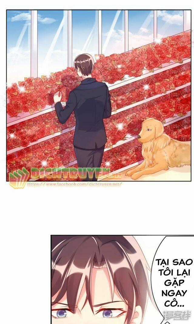 Tôi Đã Yêu Anh Trai Mình Chapter 7 trang 1