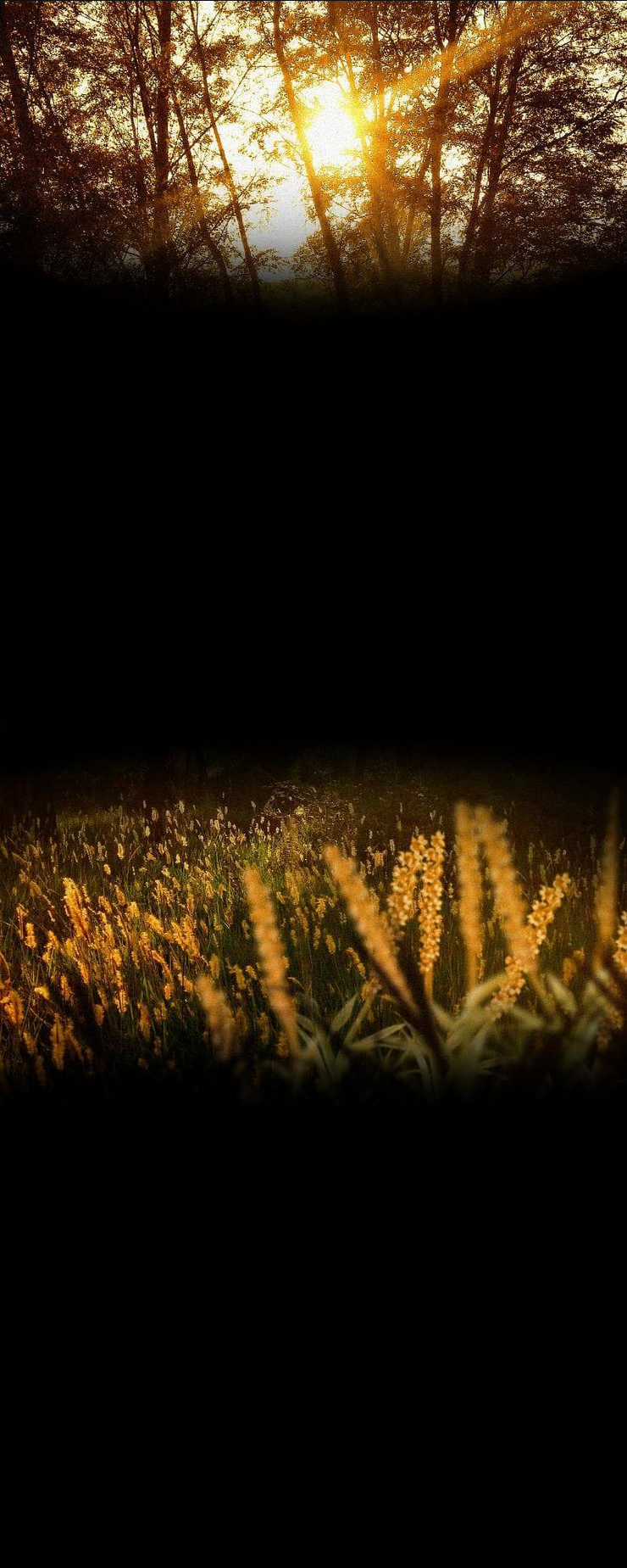 Tôi Đang Hẹn Hò Với Anh Chàng Điên Loạn Chapter 2 trang 62