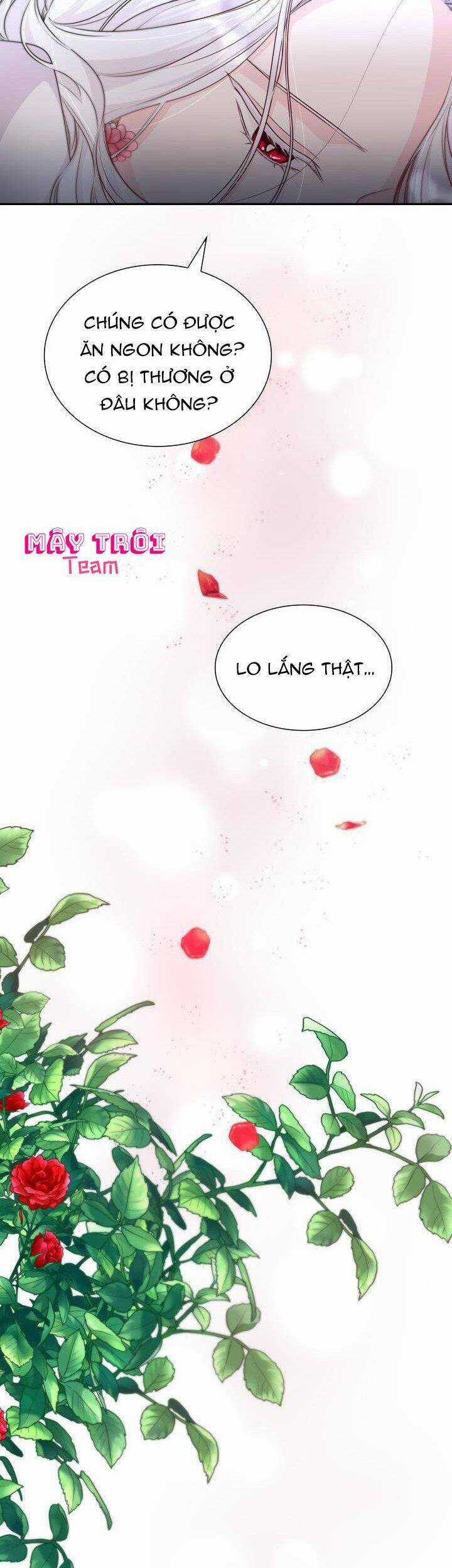 Tôi Đánh Mất Dây Xích Kiềm Chế Nam Chính Hắc Ám Chapter 35 trang 16