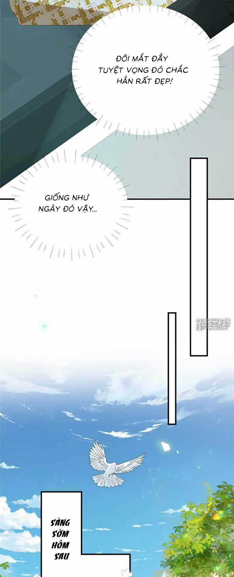 Tôi Dắt Bé Con Về Nổ Tung Nhà Chồng Cũ Chapter 24 trang 5