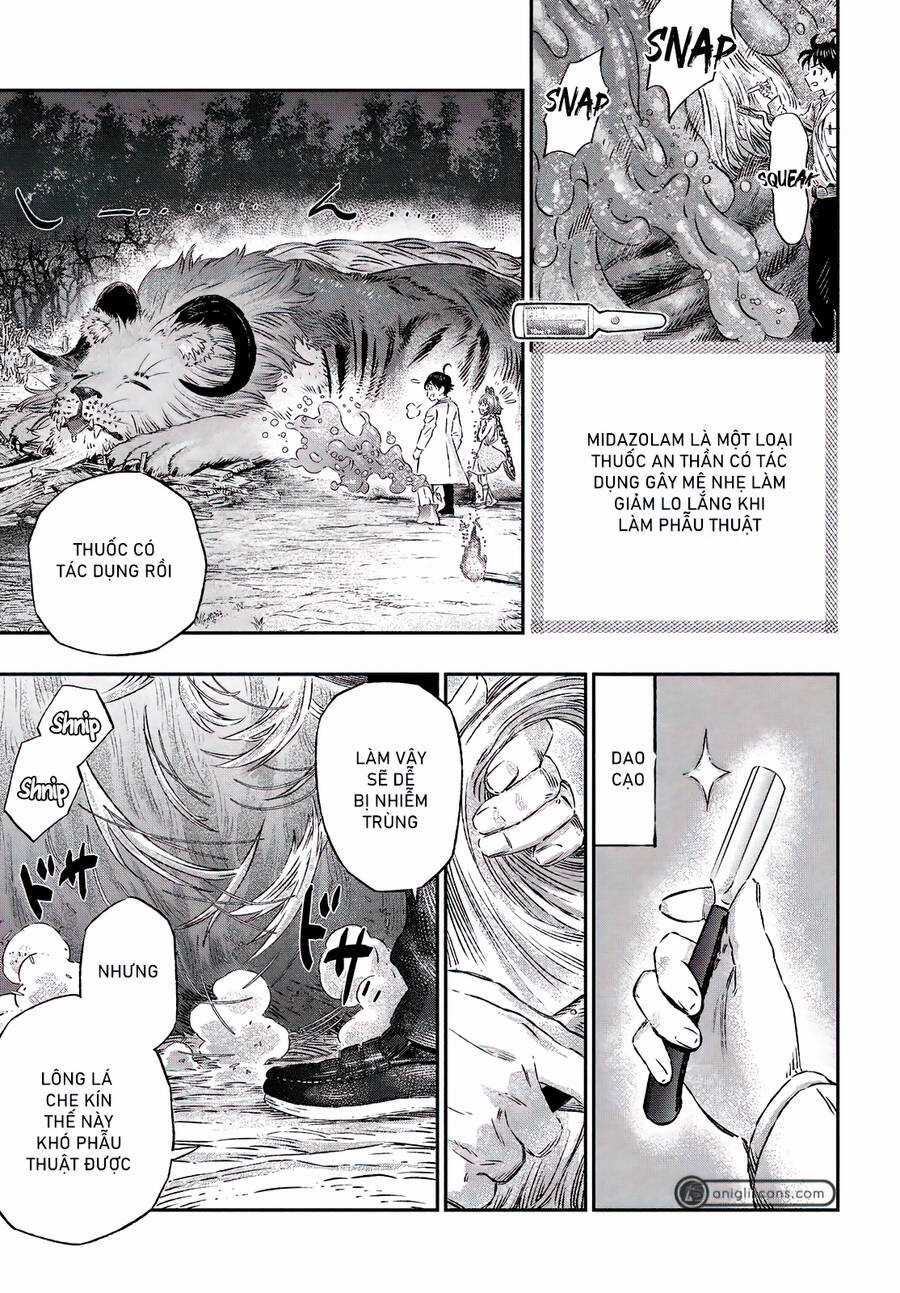 Tôi Dùng Y Học Hiện Đại Để Đối Đầu Với Ma Thuật Cổ Đại Chương 2 trang 34