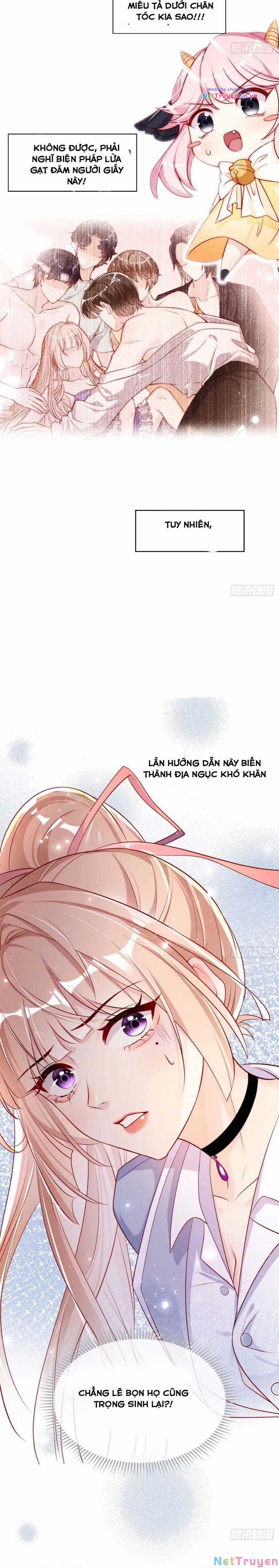 Tôi Được Năm Đại Lão Chiều Chuộng Hết Nấc Chapter 0 trang 10
