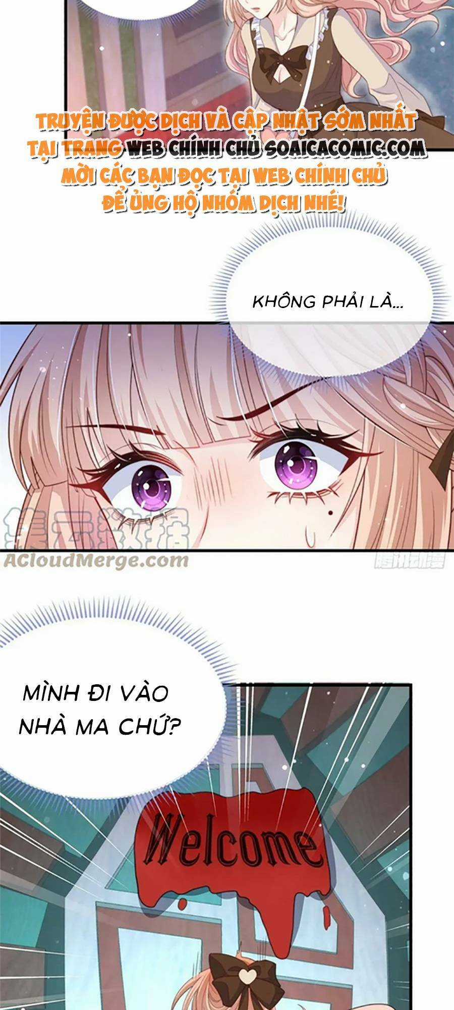 Tôi Được Năm Đại Lão Chiều Chuộng Hết Nấc Chapter 103 trang 16