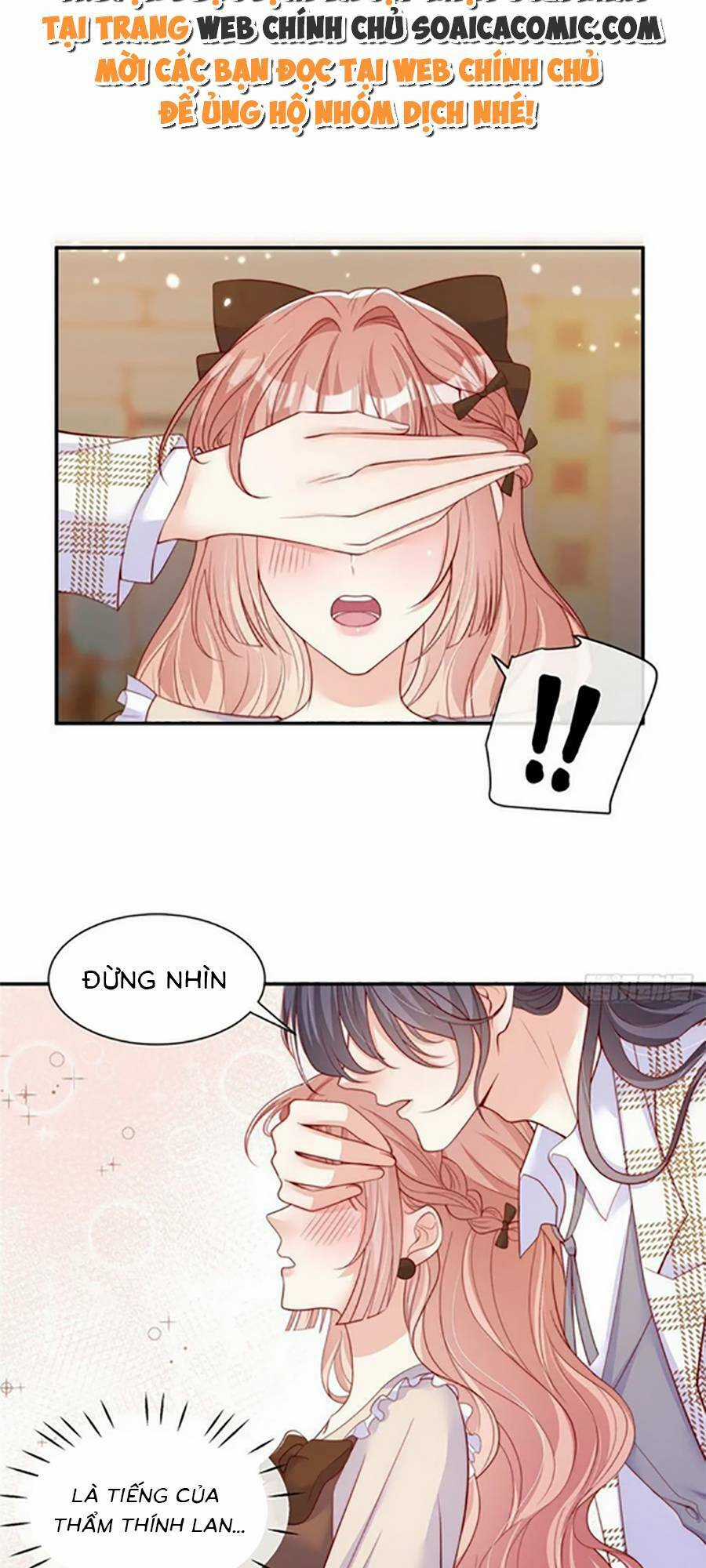 Tôi Được Năm Đại Lão Chiều Chuộng Hết Nấc Chapter 104 trang 2