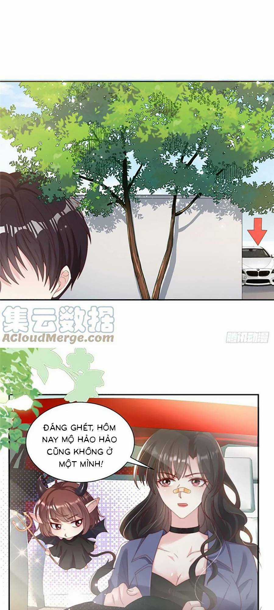 Tôi Được Năm Đại Lão Chiều Chuộng Hết Nấc Chapter 105 trang 13