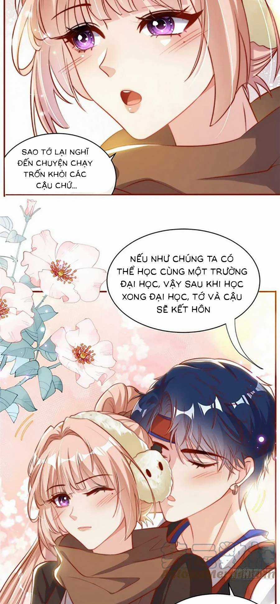 Tôi Được Năm Đại Lão Chiều Chuộng Hết Nấc Chapter 111 trang 19