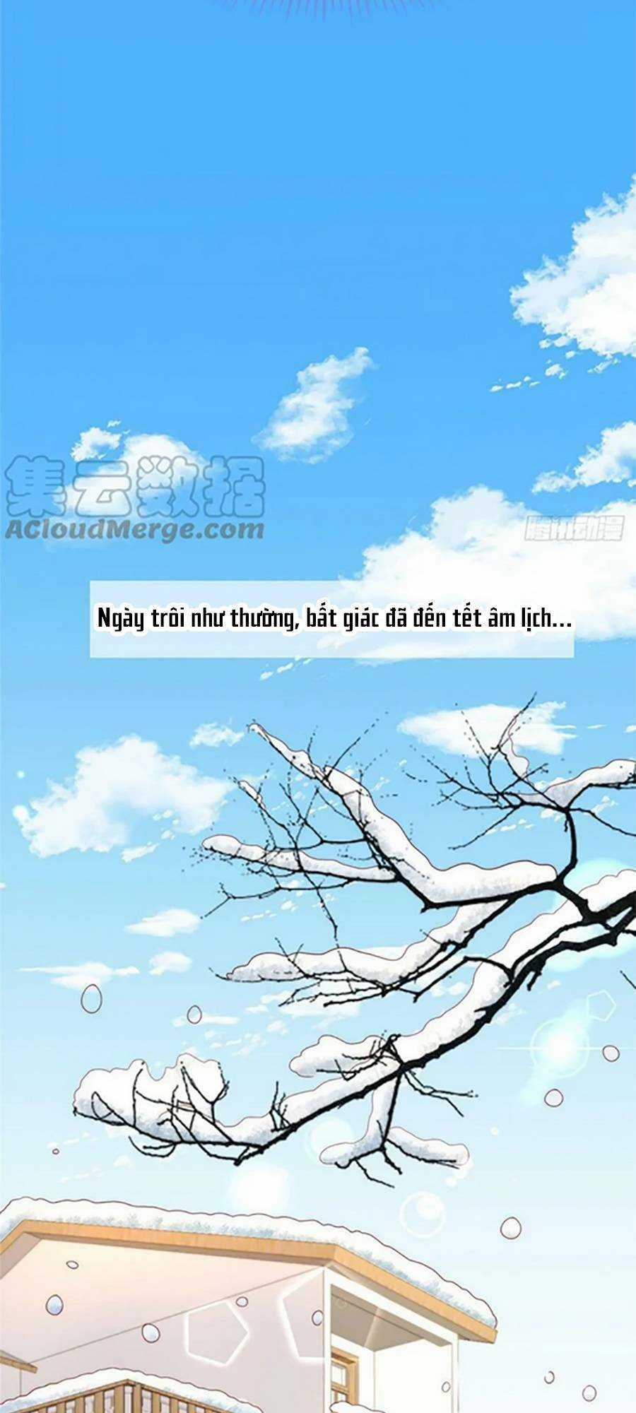 Tôi Được Năm Đại Lão Chiều Chuộng Hết Nấc Chapter 113 trang 16