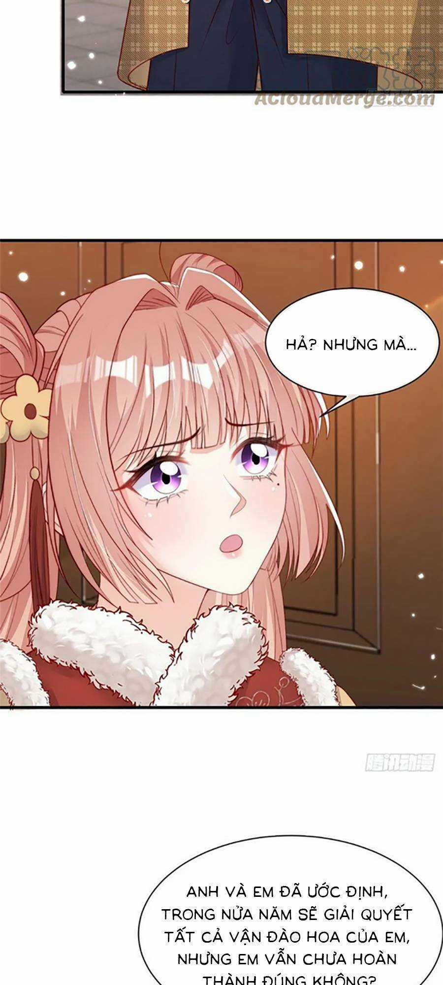 Tôi Được Năm Đại Lão Chiều Chuộng Hết Nấc Chapter 113 trang 22