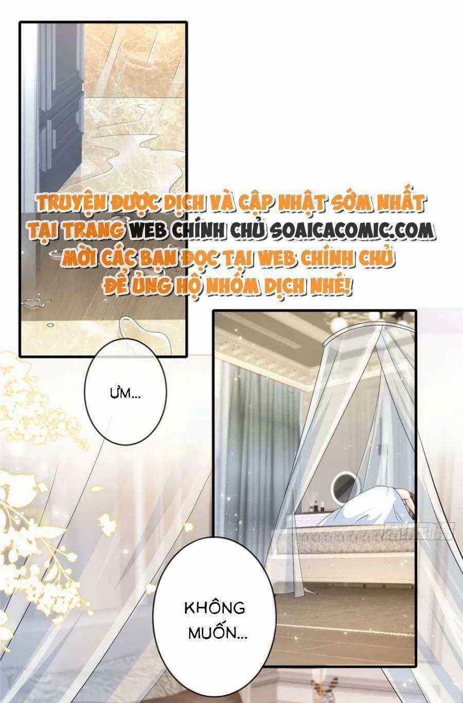 Tôi Được Năm Đại Lão Chiều Chuộng Hết Nấc Chapter 120 trang 0
