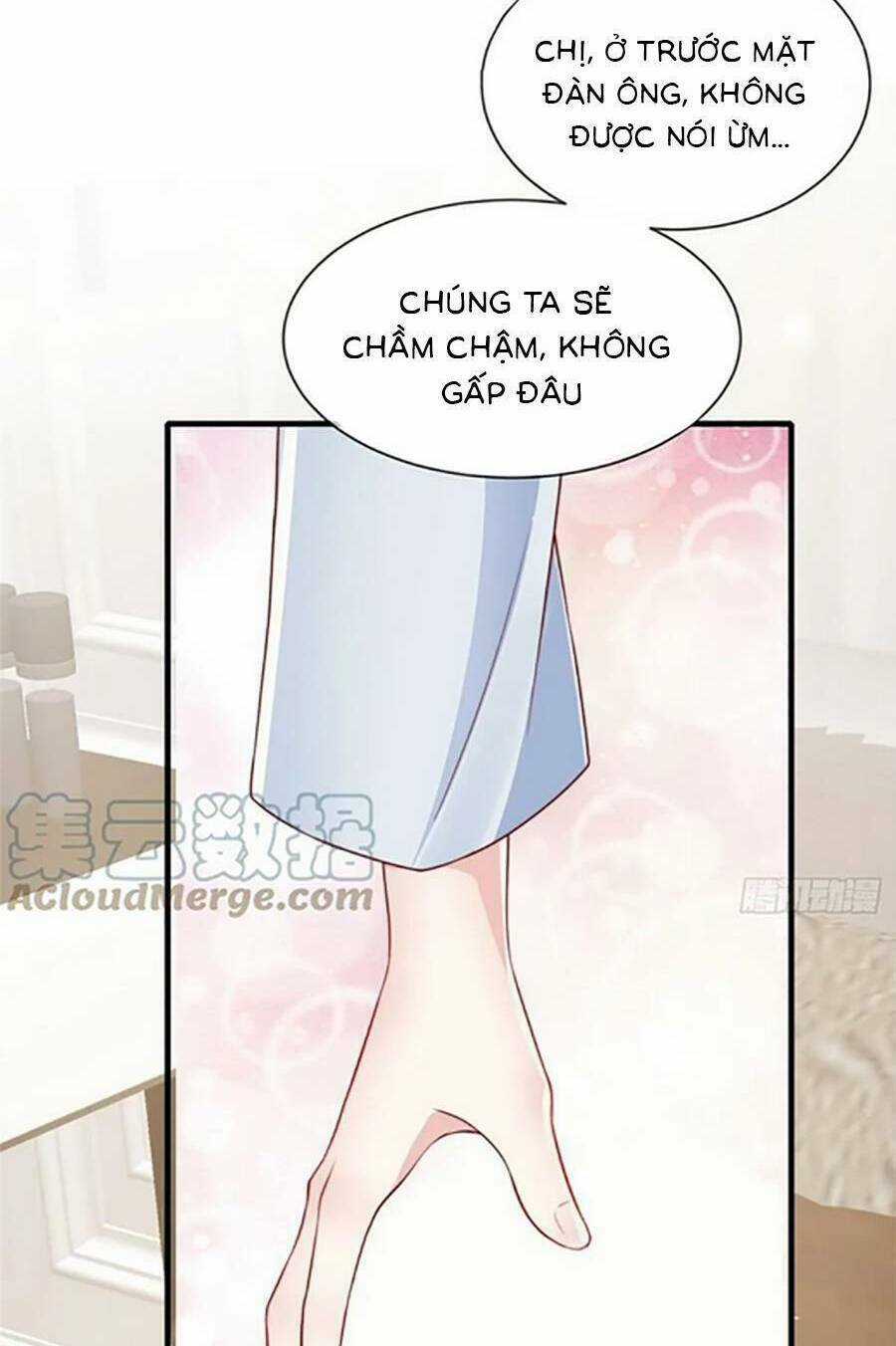 Tôi Được Năm Đại Lão Chiều Chuộng Hết Nấc Chapter 123 trang 24