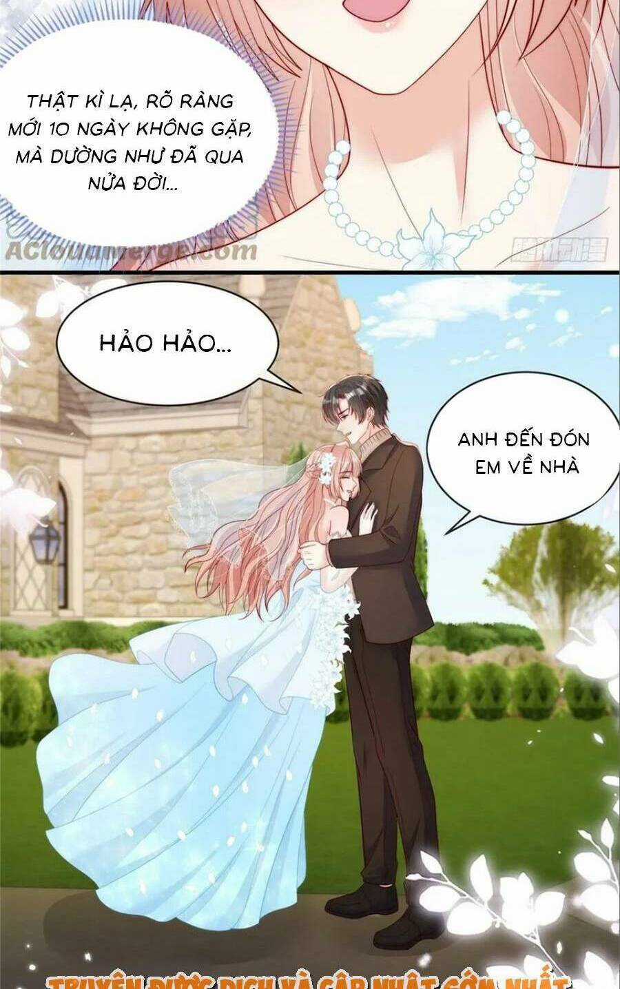 Tôi Được Năm Đại Lão Chiều Chuộng Hết Nấc Chapter 125 trang 9