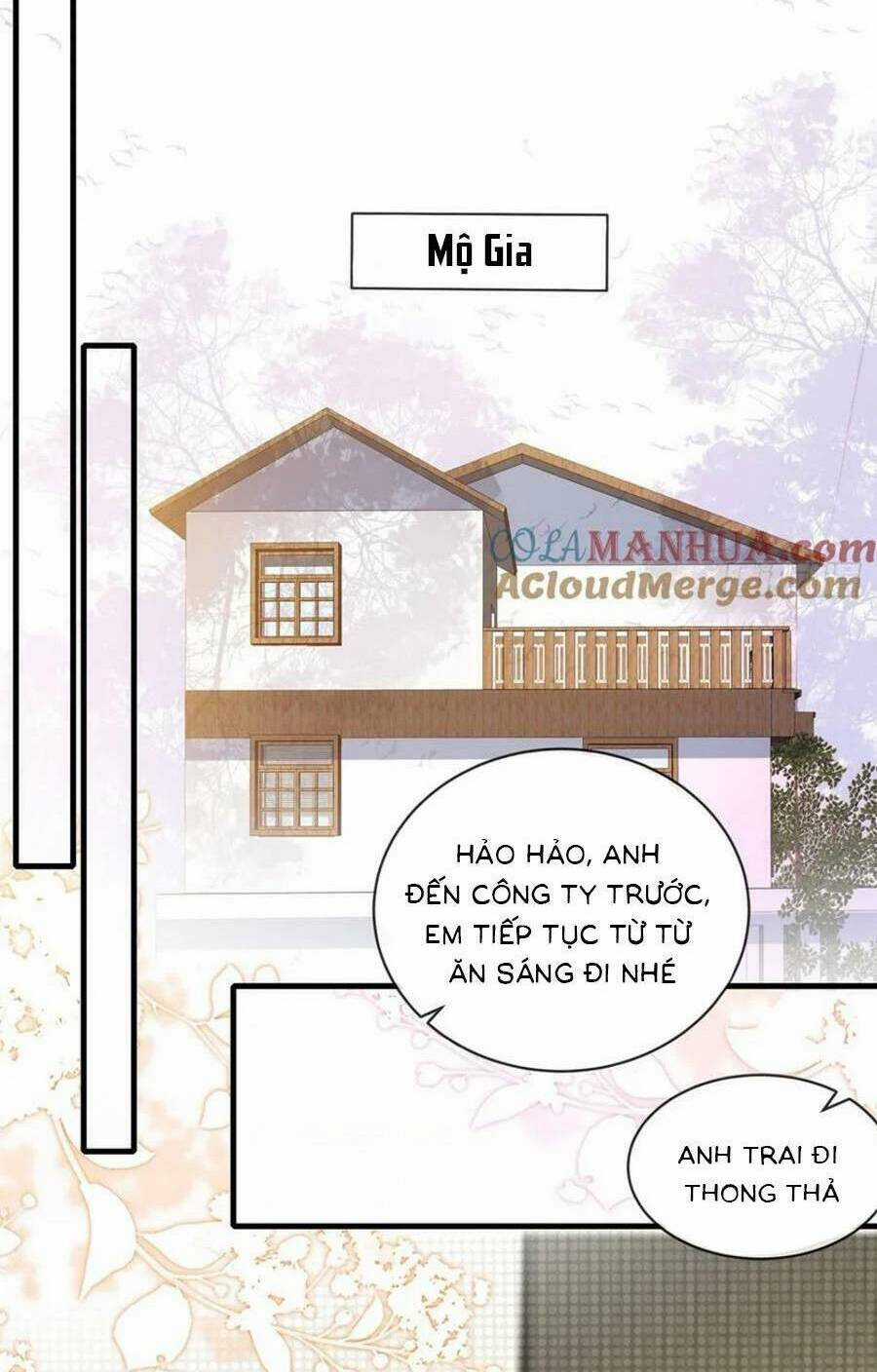 Tôi Được Năm Đại Lão Chiều Chuộng Hết Nấc Chapter 128 trang 19