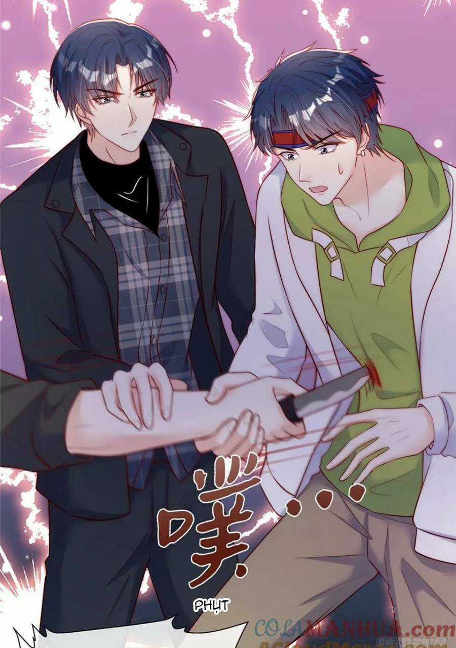 Tôi Được Năm Đại Lão Chiều Chuộng Hết Nấc Chapter 135 trang 8