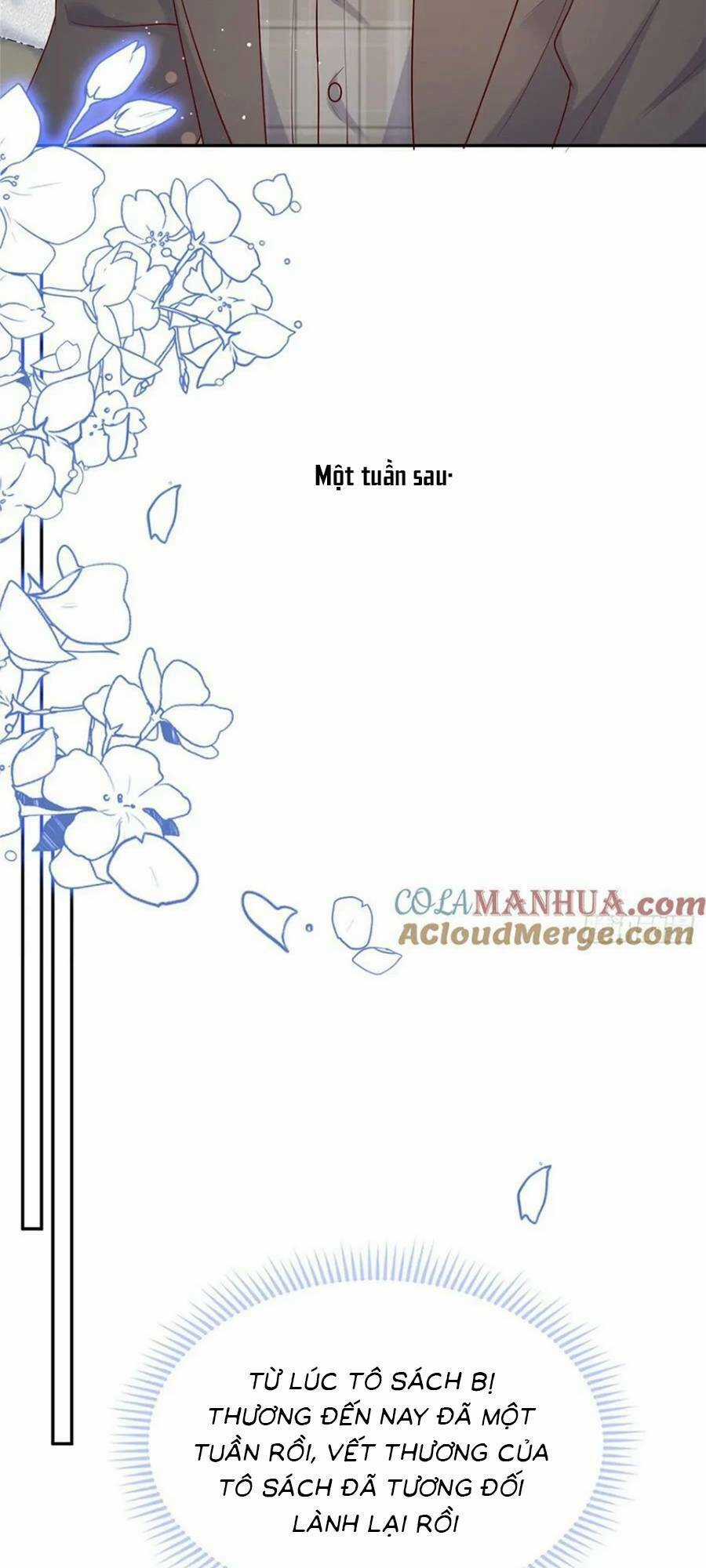 Tôi Được Năm Đại Lão Chiều Chuộng Hết Nấc Chapter 136 trang 7