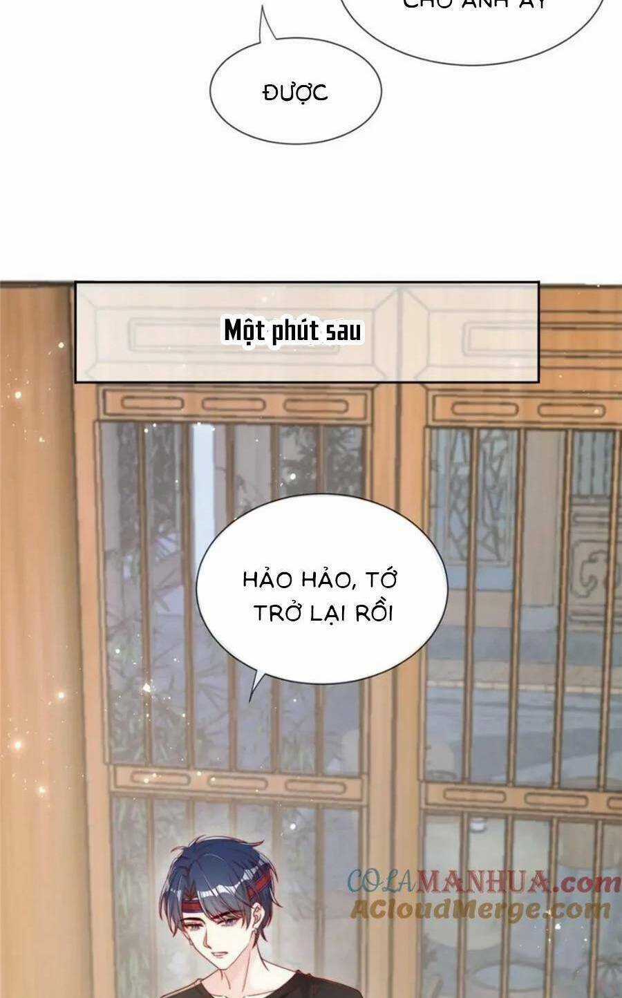 Tôi Được Năm Đại Lão Chiều Chuộng Hết Nấc Chapter 143 trang 20