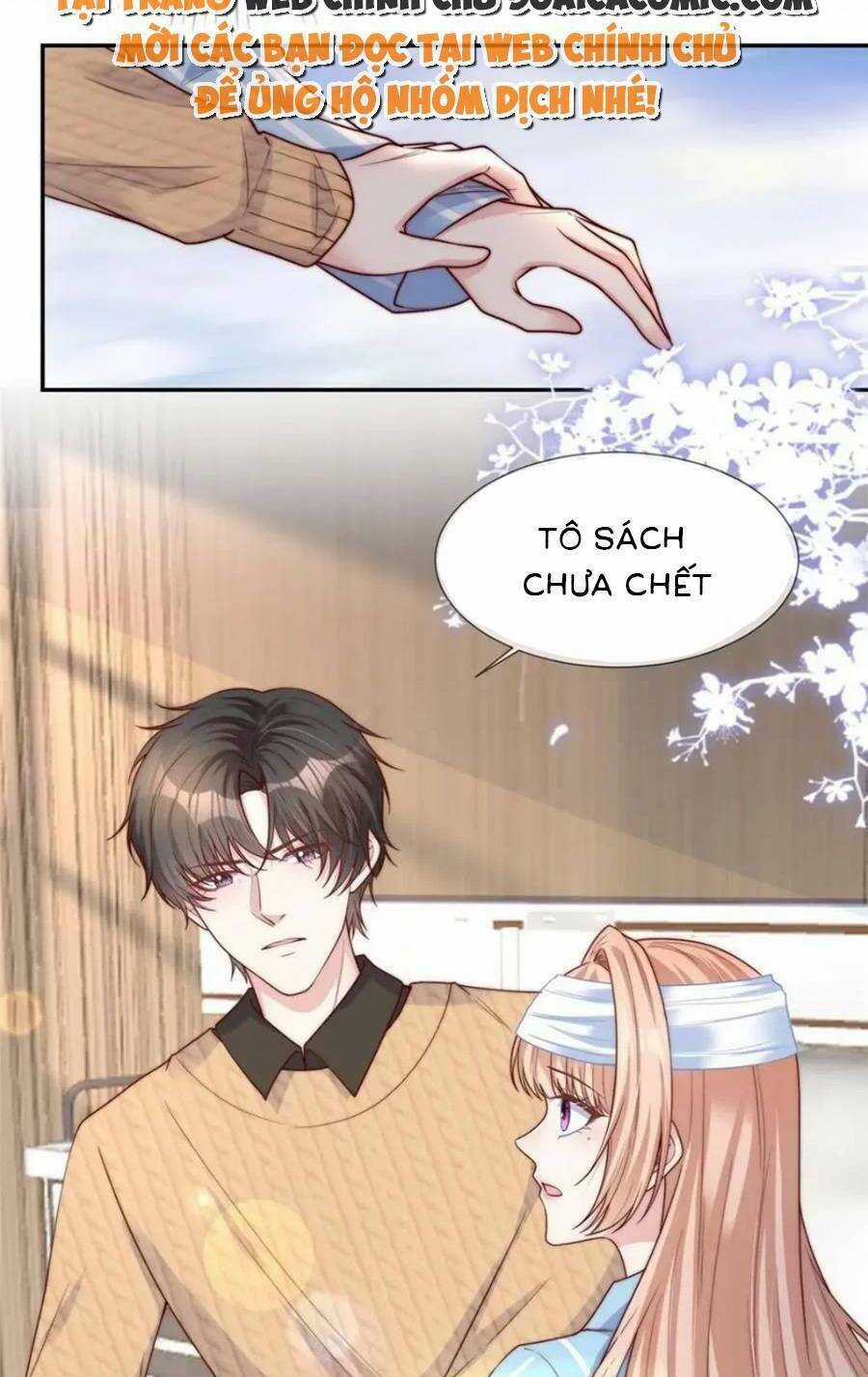 Tôi Được Năm Đại Lão Chiều Chuộng Hết Nấc Chapter 145 trang 10