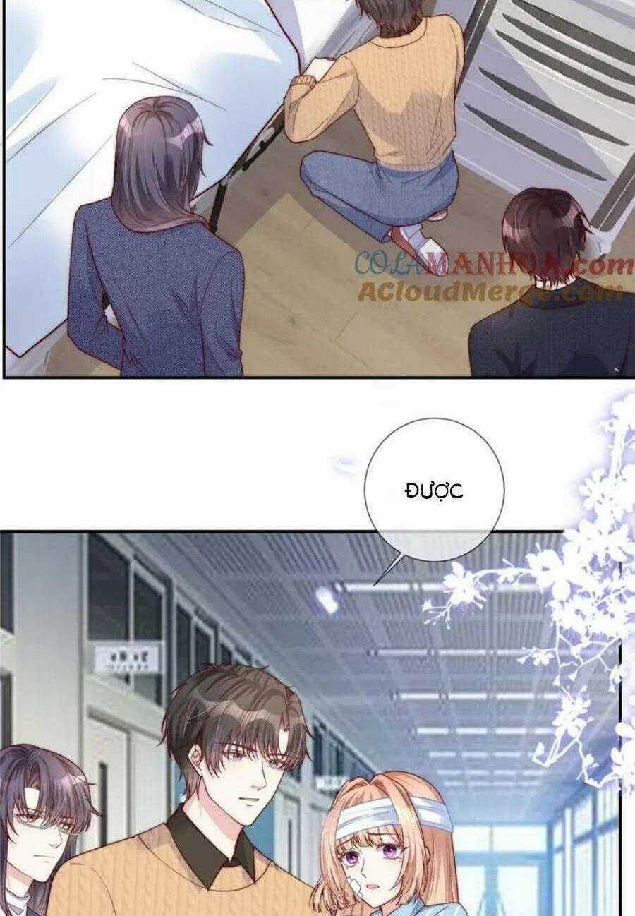 Tôi Được Năm Đại Lão Chiều Chuộng Hết Nấc Chapter 145 trang 15