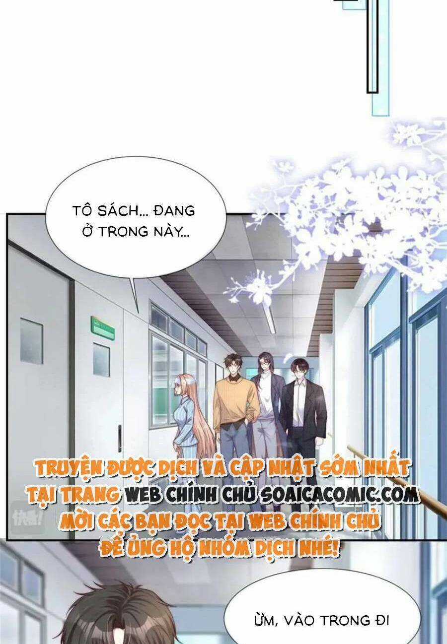 Tôi Được Năm Đại Lão Chiều Chuộng Hết Nấc Chapter 145 trang 17