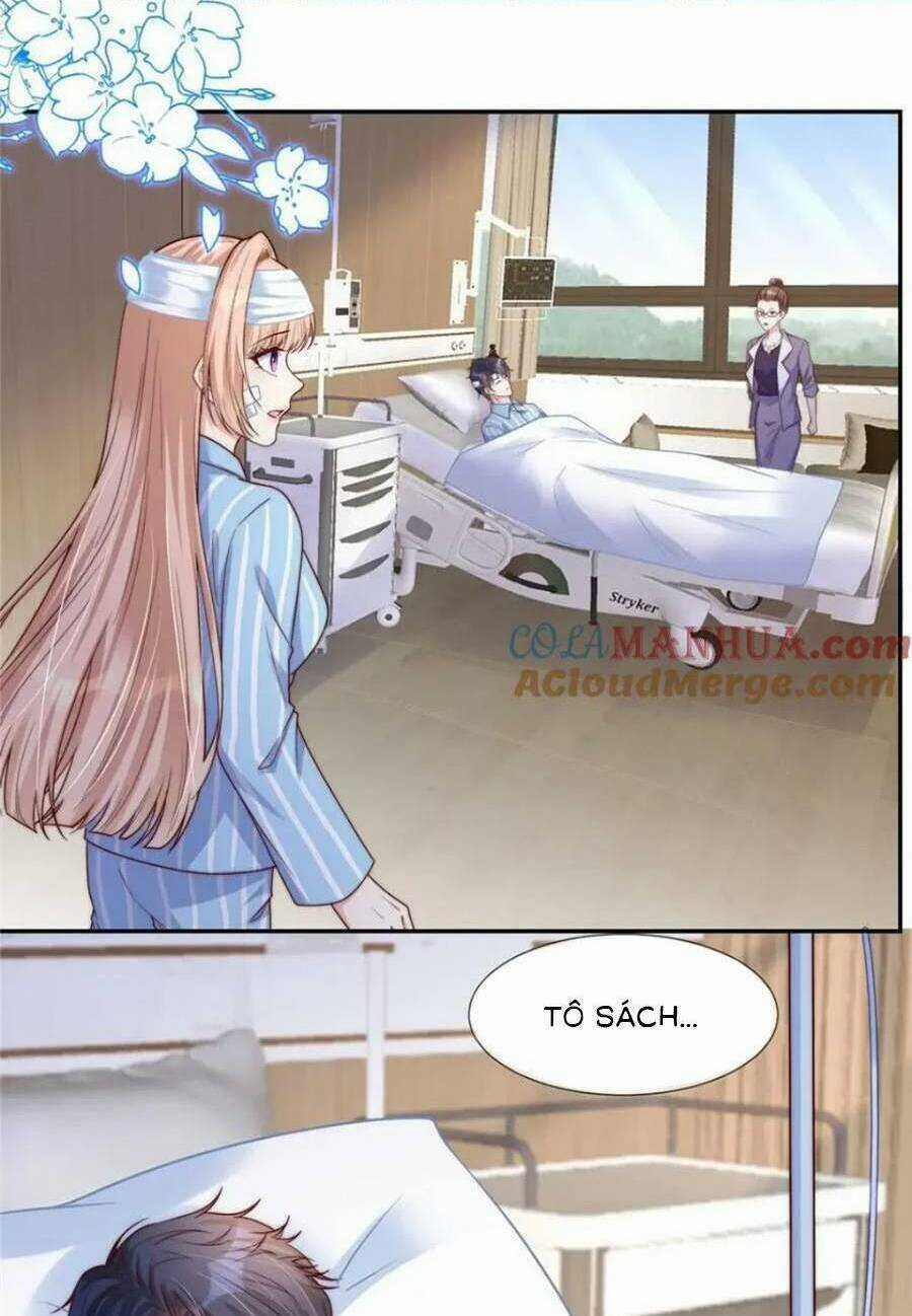 Tôi Được Năm Đại Lão Chiều Chuộng Hết Nấc Chapter 145 trang 19