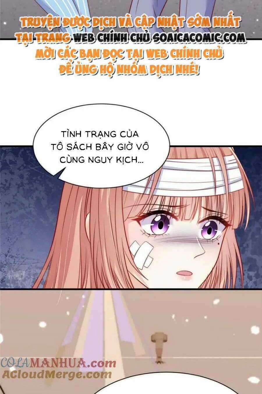 Tôi Được Năm Đại Lão Chiều Chuộng Hết Nấc Chapter 146 trang 3