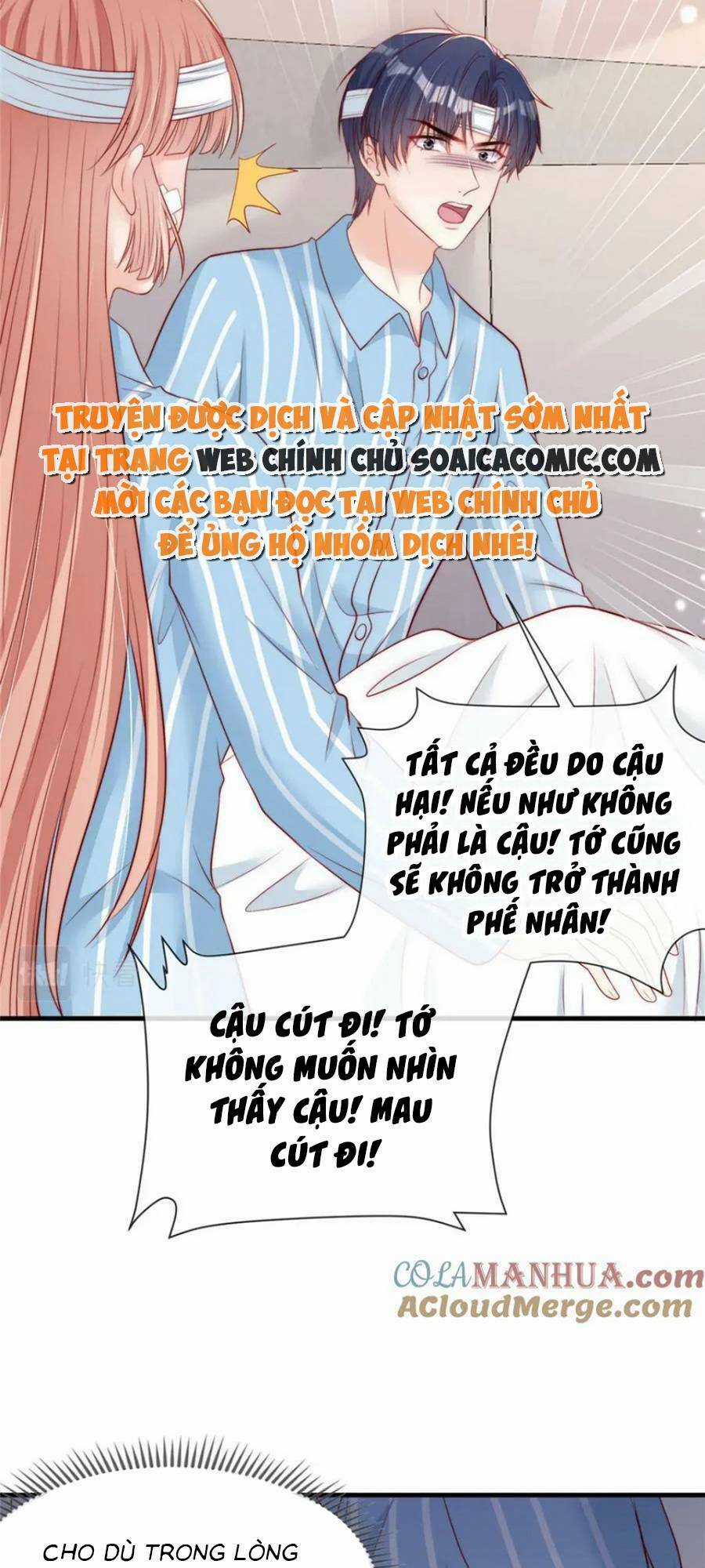 Tôi Được Năm Đại Lão Chiều Chuộng Hết Nấc Chapter 147 trang 10