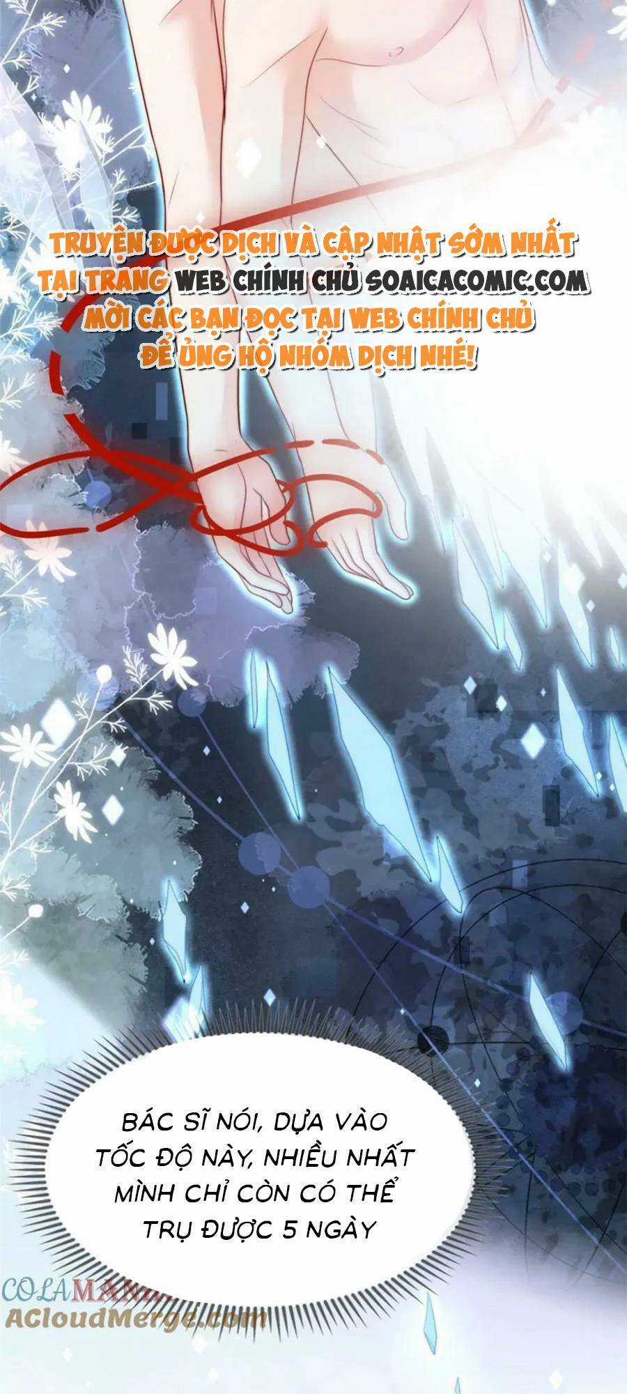 Tôi Được Năm Đại Lão Chiều Chuộng Hết Nấc Chapter 147 trang 14