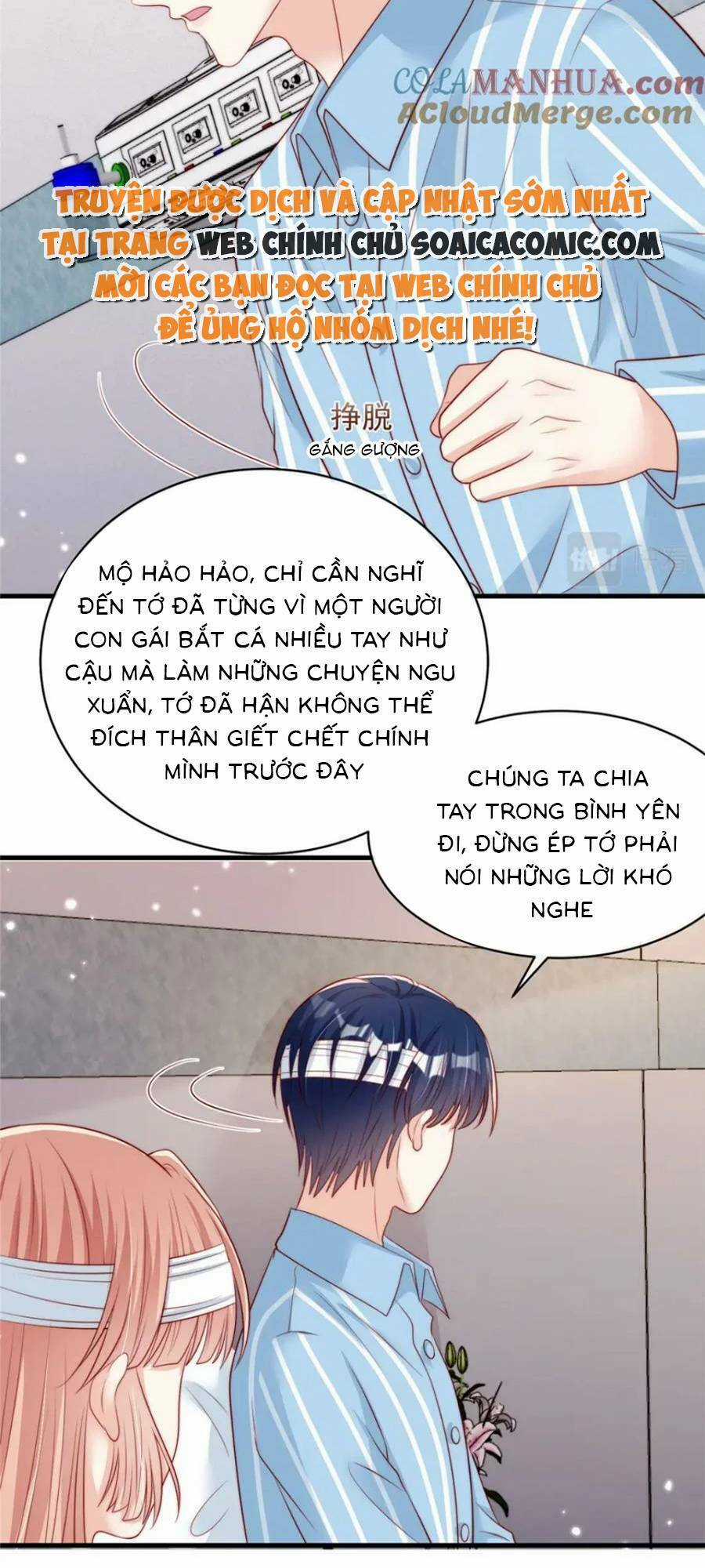 Tôi Được Năm Đại Lão Chiều Chuộng Hết Nấc Chapter 147 trang 24