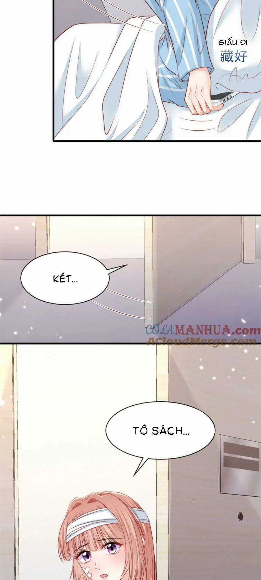 Tôi Được Năm Đại Lão Chiều Chuộng Hết Nấc Chapter 147 trang 5