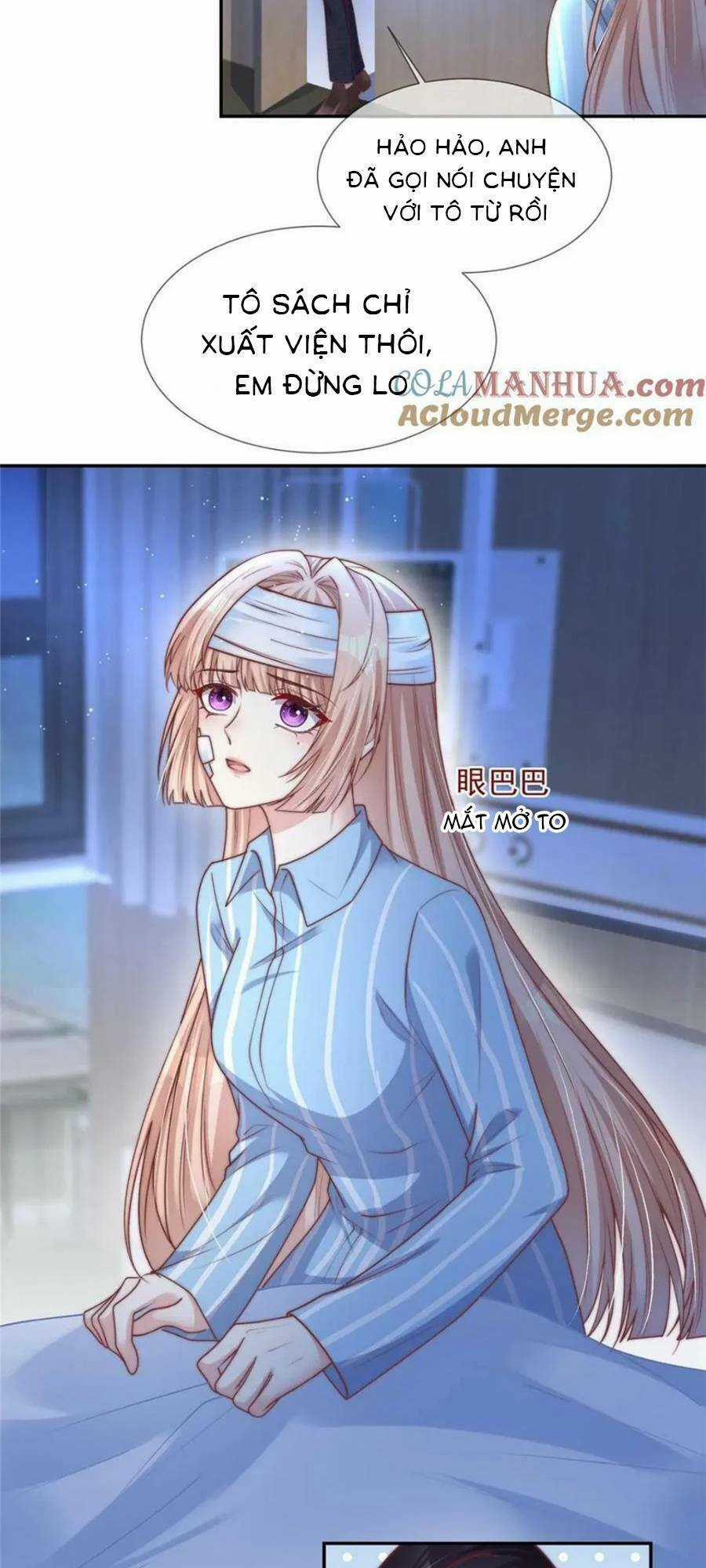 Tôi Được Năm Đại Lão Chiều Chuộng Hết Nấc Chapter 148 trang 26